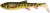 2kom - Gumeni mamac Savage Gear 3D Whitefish Shad 17,5cm 42g Pike
