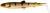 2kom - Gumeni mamac Westin BullTeez Shadtail 12,5cm 16gr Bling Perch