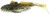 2kom Gumeni mamac Westin Gunnar The Goby 8cm 6,5gr Spotted Goby