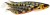 2kom - Gumeni Mamac Westin ShadTeez 12cm 15gr Bling Perch