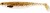 2kom - Gumeni Mamac Westin ShadTeez Slim 12cm 10gr