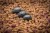 2kom - Olovo Matrix In-Line Pellet Bombs