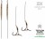 2kom - Predvez Zfish Monofilament D-Rig