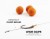 2kom - Predvez Zfish Wide Gape Carp Rig