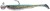 2ks - Gumena Mamac Daiwa Grandwave Slim Shady Sea