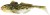 2ks Gumena mamac Westin Gunnar The Goby 10cm 12,8gr Appleseed