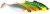 2ks - Gumena Mamac Westin Ricky The Roach Shadtail 7cm 6g Reflektor