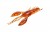 2ks - Gumová Nástraha Mikado Cray Fish 10cm 350 2ks - Gumová Nástraha Mikado Cray Fish 10cm 350