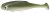 2ks - Gumová Nástraha Mikado Real Fish 15cm Olive Bleak
