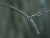 2ks - Koncová Montáž Korda Heli Safe Tubing Kit