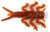31kom - Gumeni Mamac Iron Claw Drop Stuff Larva 2,5cm