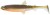3kom - Gumena mamac Westin Hypoteez ShadTail 9cm 5gr Dirty Harbor