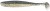 3kom - Gumeni Mamac Keitech Easy Shiner 6,5" 16,5cm 24gr
