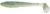 3kom - Gumeni Mamac Keitech FAT Swing Impact 6,8" 17,3cm 36,5gr