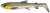 3kom - Gumeni Mamac Savage Gear 3D Whitefish Shad 12cm 14g Green Silver