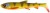 3kom - Gumeni Mamac Savage Gear 3D Whitefish Shad 12cm 14g Perch