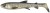 3kom - Gumeni Mamac Savage Gear 3D Whitefish Shad 12cm 14g Whitefish