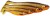 3kom - Gumeni Mamac Westin ShadTeez Slim 10cm 6gr Tiger Perch