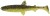 3ks - Gumená nástraha Westin Hypoteez ShadTail 9cm 5gr Golden Baitfish