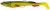 3ks - Gumová Nástraha Berkley Power Bait Power Sardine 12cm 15g Hot Cod