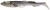 3ks - Gumová Nástraha Berkley Power Bait Power Sardine 12cm 15g Real Sardine