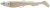 3ks - Gumová Nástraha Berkley Power Bait Power Sardine 12cm 15g Snow White