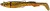 3ks - Gumová Nástraha Berkley PowerBait Power Sardine 12cm 20gr Gold Motoroil