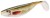 3ks - Gumová Nástraha BOMB! Hypno 9cm Pike II 3ks - Gumová Nástraha BOMB! Hypno 9cm Pike II