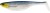 3ks - Gumová Nástraha Westin ShadTeez 9cm 7gr Blue Headlight 3ks - Gumová Nástraha Westin ShadTeez 9cm 7gr Blue Headlight