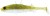3ks Gumová nástraha Westin Stanley The Stickleback Shadtail 9cm 7gr Seaweed Pearl