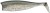 4kom - Gumeni Mamac Illex Nitro Shad 120 12cm 16,5gr