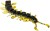 4kom - Gumeni Mamac Westin Centipede Creaturebait 9,5cm 4g