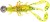 4kom - Set Mamaca Rage Ultra UV Micro Critter Mixed Colour Lure Pack Loaded 3gr 5cm
