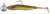 4kom - Set Mamaca Rage Ultra UV Micro Tiddler Fast Loaded Lure Pack 5cm 3gr