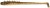 4ks - Gumena Mamac Westin Wiggle Worm Creaturebait 11cm 4g Pearl Kicker