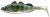 4ks Gumená Nástraha Daiwa Prorex Live Perch 9,5cm 8,0g Green Perch