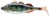 4ks Gumová Nástraha Daiwa Prorex Live Perch 11,5cm 16,0gr Live Perch