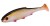 4ks - Gumová Nástraha Mikado Real Fish 10cm Rudd 4ks - Gumová Nástraha Mikado Real Fish 10cm Rudd