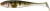 5 kom - Gumena Mamac Illex Magic Slim Shad 5 10,5cm 8,65gr Magic Green Perch
