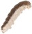 55kom - Crvi Berkley PowerBait Power Honey Worm 2,5cm Gray Pearl