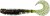 5kom - Gumena Mamac Gunki Tipsy Curly 11,5cm Firecracker