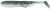 5kom - Gumeni Mamac Illex Ammonite Shad 14cm