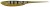 5kom - Gumeni Mamac Illex Magic Swing Tail 5 13,3cm 8gr Magic Perch