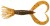 5kom - Gumeni Mamac Keitech Little Spider 3,5" 8,9cm 2,7gr