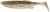 5kom - Gumeni Mamac Savage Gear Fat Minnow T-Tail