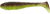 5kom - Gumeni Mamac SELECT Fatfish 3,8" 9,7cm