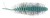 5kom - Gumeni mamac Westin Needle Bug 6,5cm Baby Blue/Chartreuse Garlic/Cheese