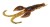 5kom - Gumová Nástraha Mikado Angry Cray Fish 3,5cm