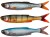 5kom - Gumová Nástraha Savage Gear Craft Dying Minnow 5,5cm 0,7gr