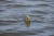 5kom - Jig glava Rage Micro Jig Heads 1